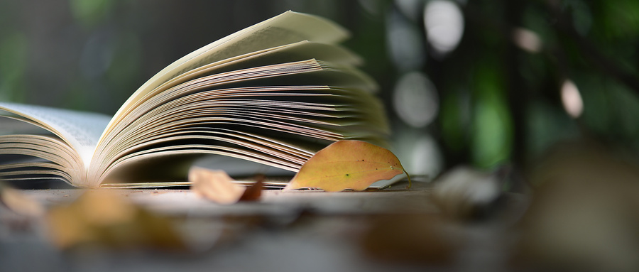 这里的“案-件比”已降至1∶1.09