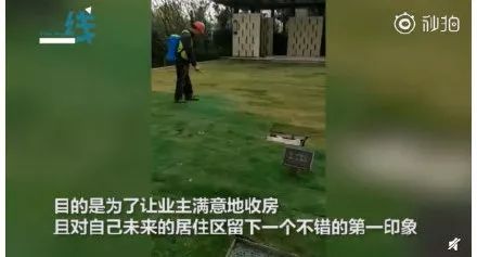 裸眼4D塑胶人工湖、水泥地上种草皮,开发商那些骚断腰的迷惑行为