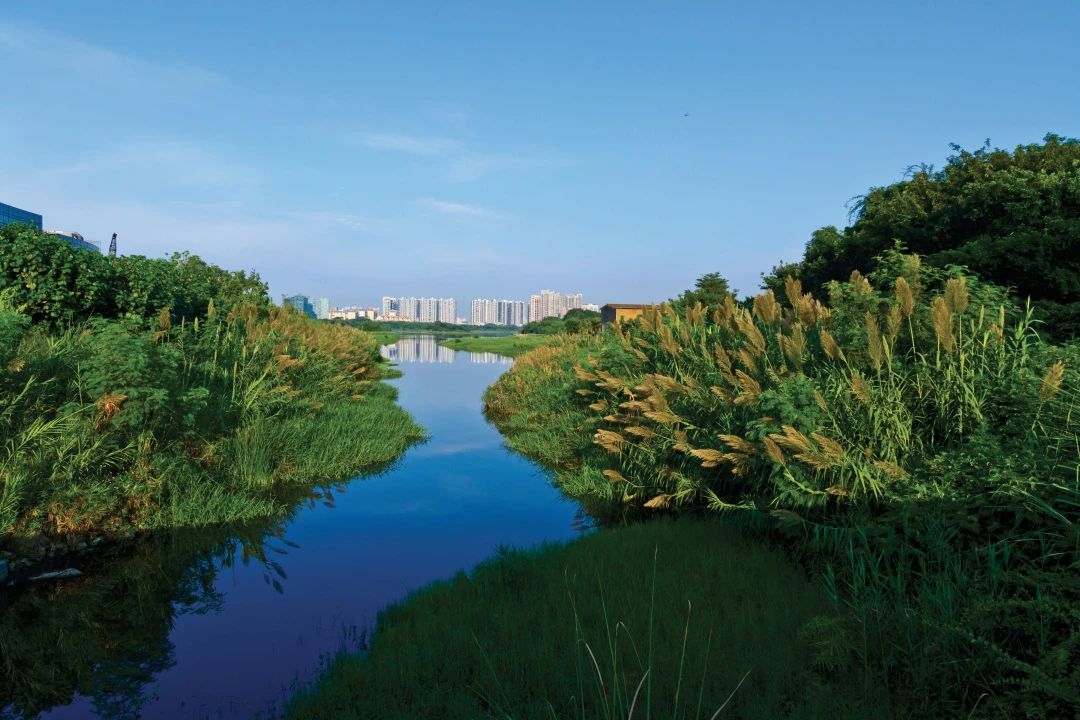 华侨城创意园20周年,深圳特区40周年推动创新发展