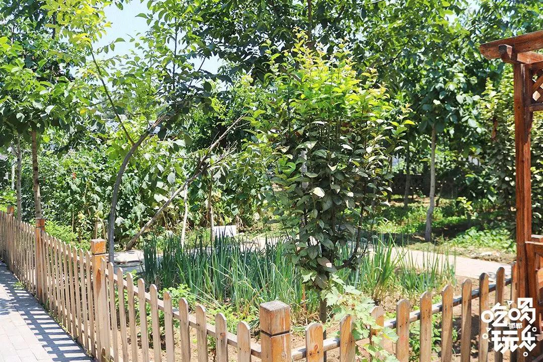 秋冬来袭!来碗养生汤!吃着鸽子喝着汤!请客有面子就到鸽子王