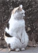 得了痔疮要手术？还能吃辣？会不会发展成肛裂、脱肛？答案都在这