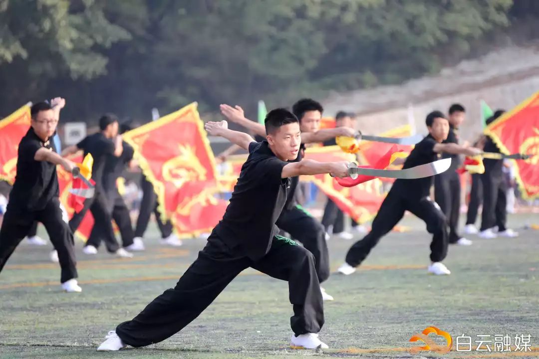 横栏小学校园田径运动会,2019白云区中小学生田径运动会