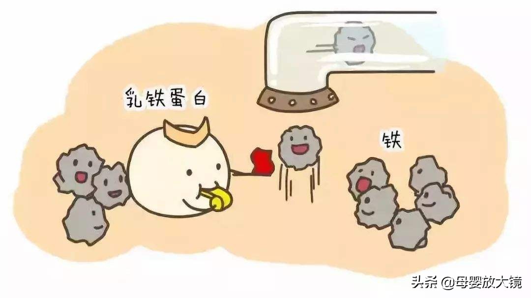 羊奶粉最贵的多少钱,进口婴幼儿奶粉排名前十名羊奶粉