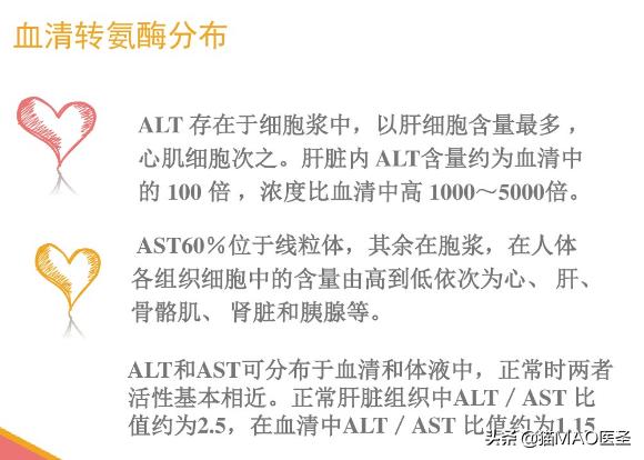 狗狗谷丙转氨酶高的症状,宠物生化检查alt偏高怎么办