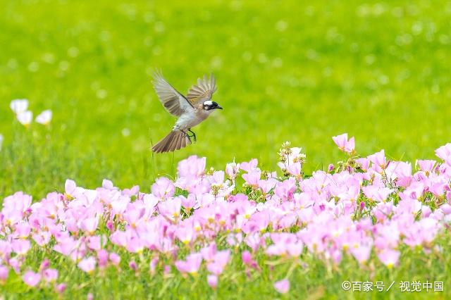 孕妈妈食谱5个月,春季炖汤食谱大全