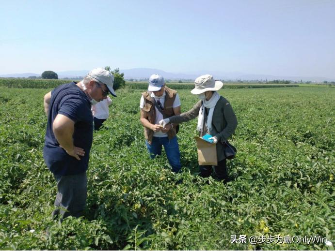 步步为赢二十余载初心不改，专注足部养护