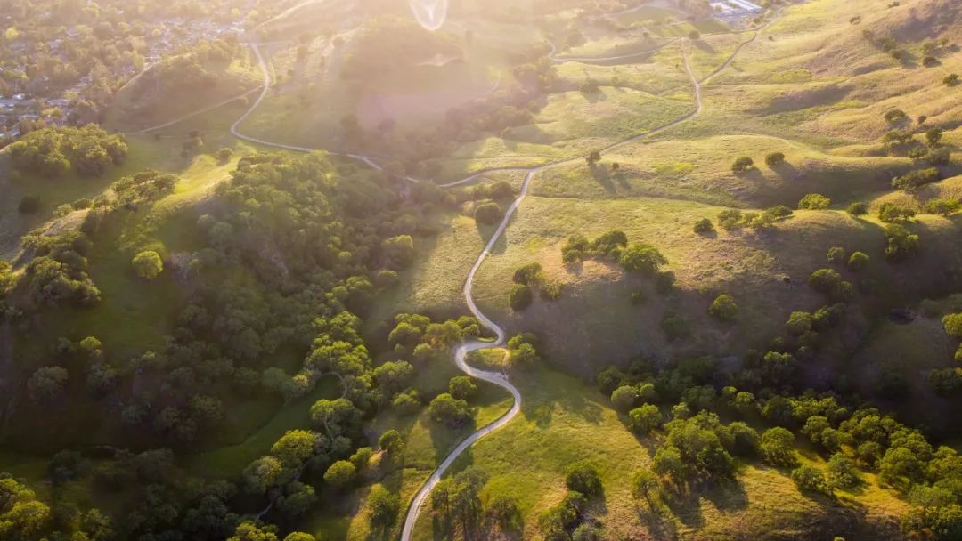 美术教学入门零基础教程中考,美术教材编写