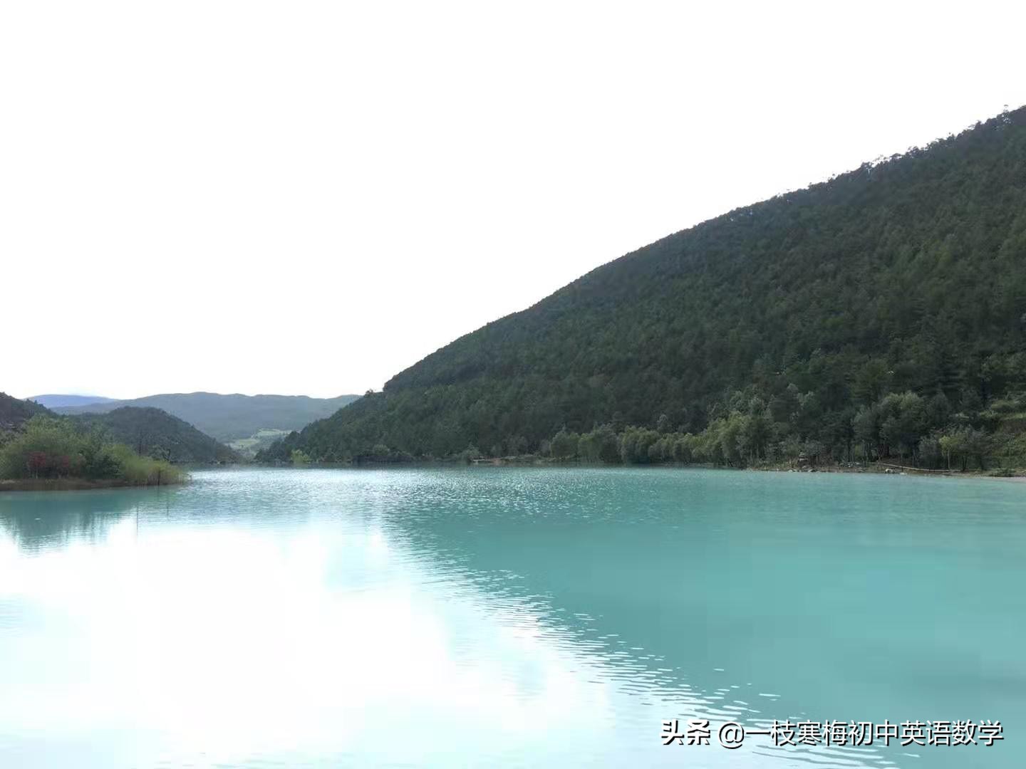 初中英语语法动词的分类,初中英语语法动词的时态和语态