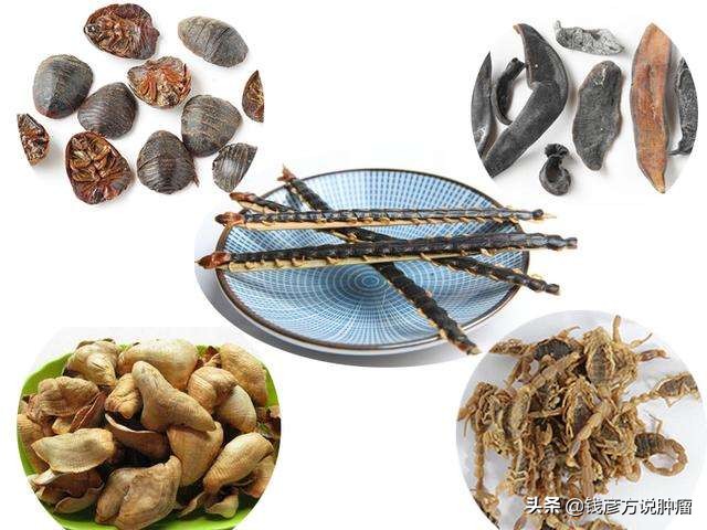 动物药的优势,动物药的解释