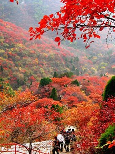 淄博有什么好玩的地方啊,淄博有几个好玩的地方