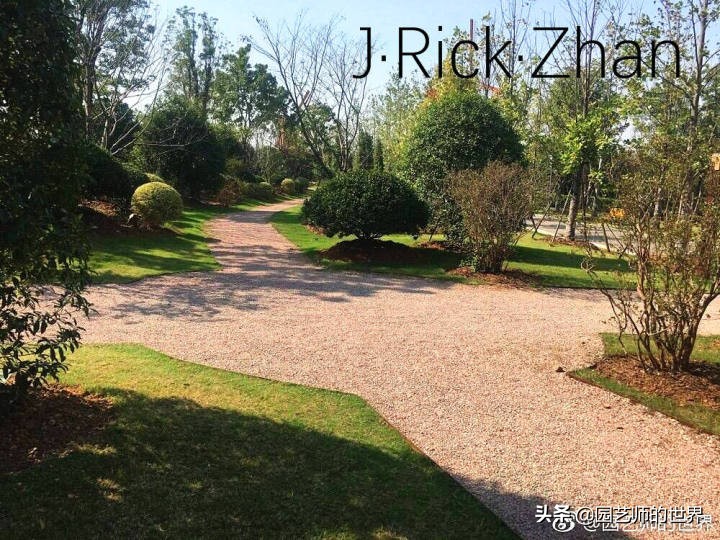 果岭草坪的种植养护方法及技巧,怎么种植一个可以躺的草坪