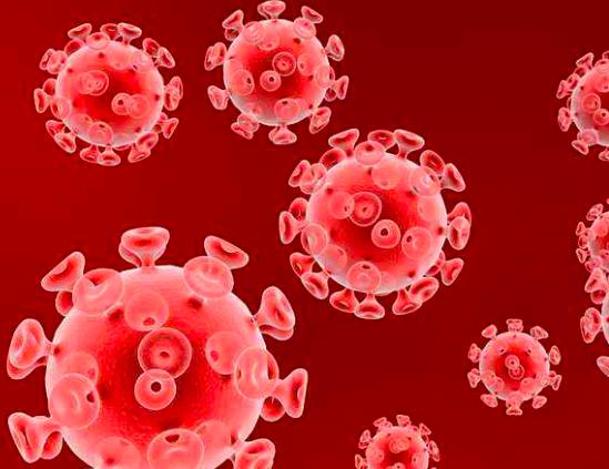 新冠病毒到现在地球上死了多少人 (人类大战新冠病毒的十个场面)