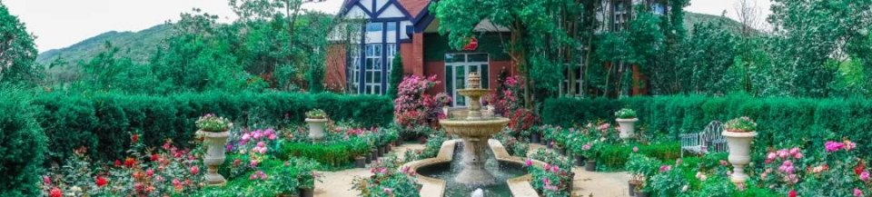 五一不能错过的花海,五一不能错过的美丽花海