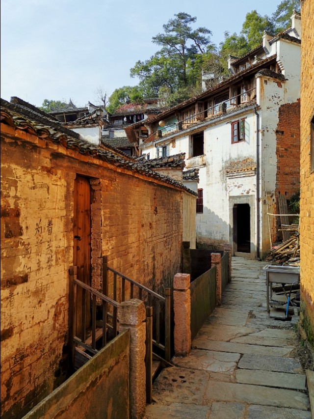 春暖花开我在油菜花田等你,篁岭晒秋我听了风的话