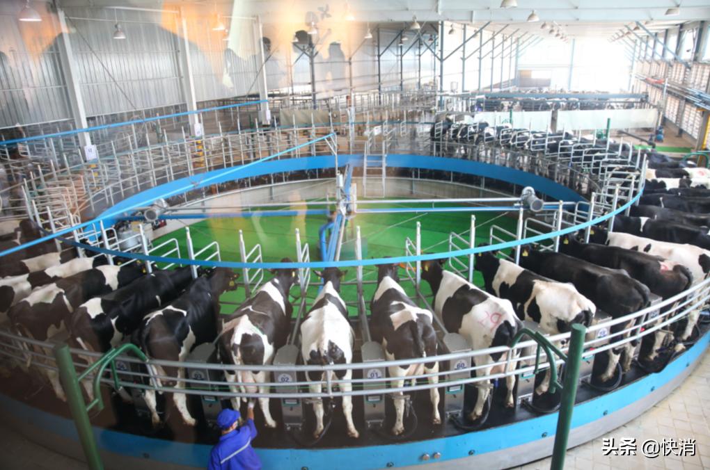 君乐宝至臻的配方奶粉特点是什么,君乐宝奶粉诠释爱和臻至