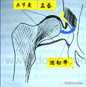 先天性髋关节脱位截骨术全过程,先天性髋关节脱位可以考驾驶证吗