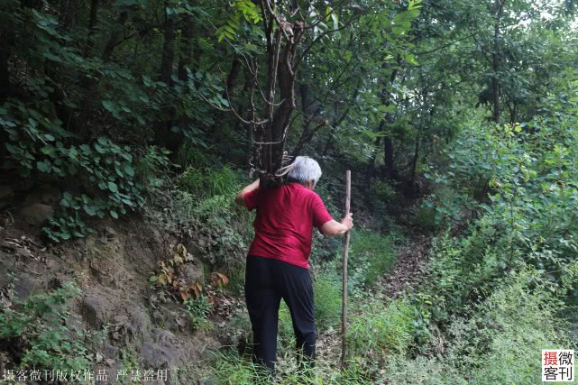 深山老两口5年还18万欠款，大妈每天抱着儿子遗像哭