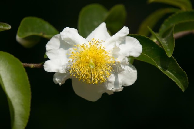 用心守护你的美丽,用心守护所有的美好