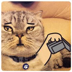 双十一购物车几天清完啊,双十一快到了准备好清空购物车