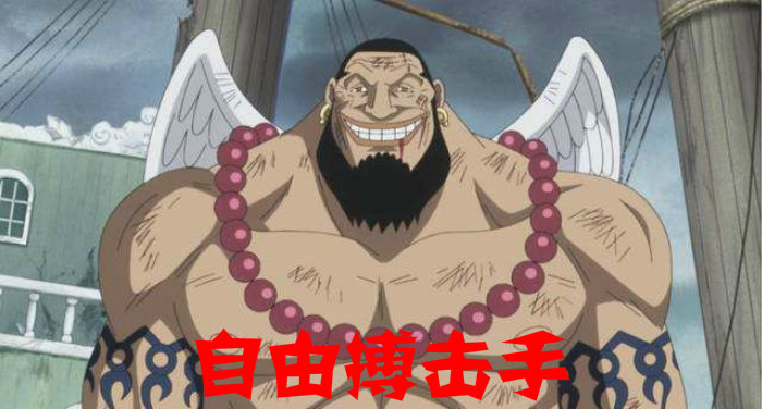 《海贼王》如果超新星十一人穿越到现代，那他们适合做什么工作？