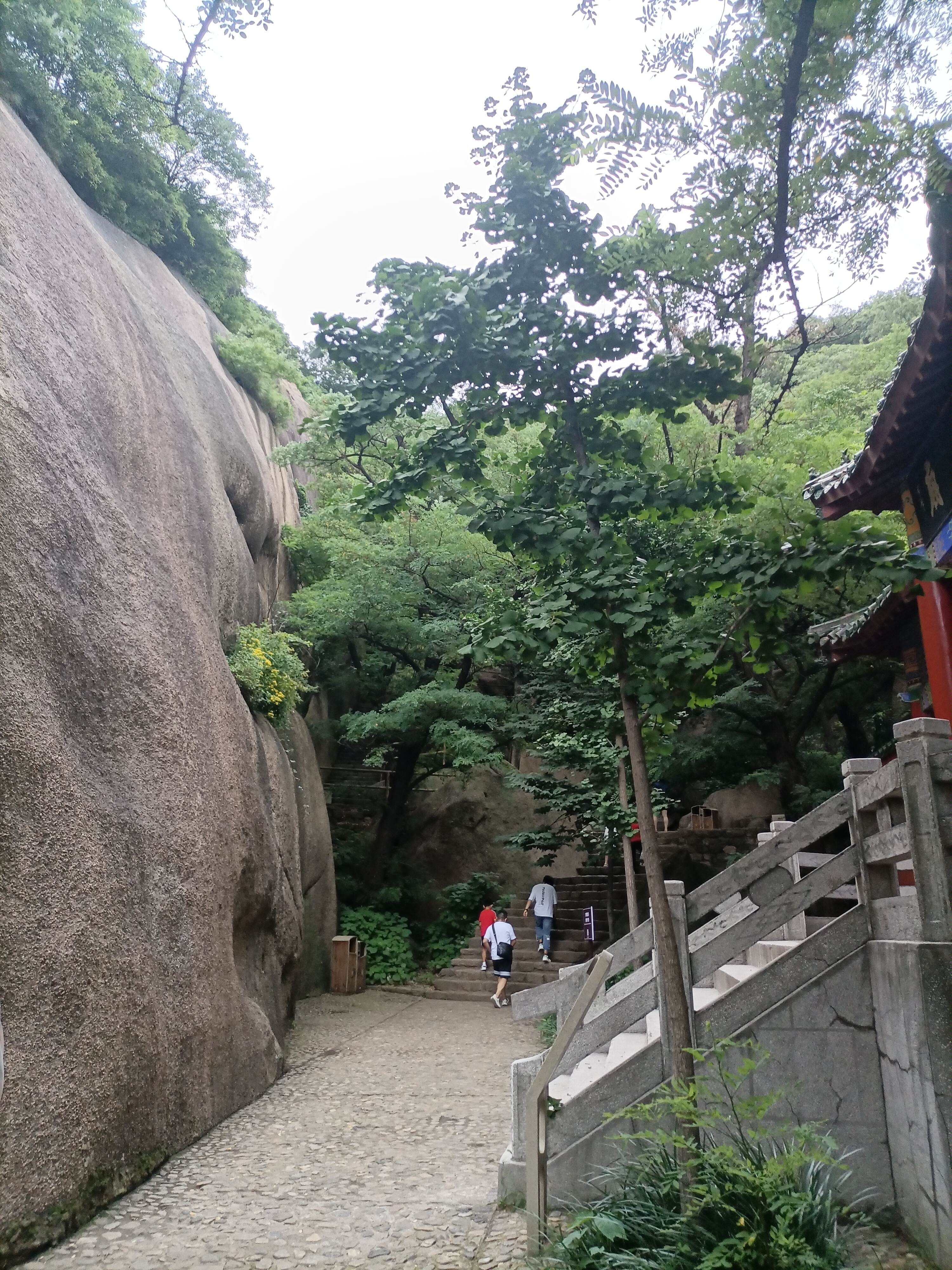 信阳到嵖岈山距离,信阳嵖岈山