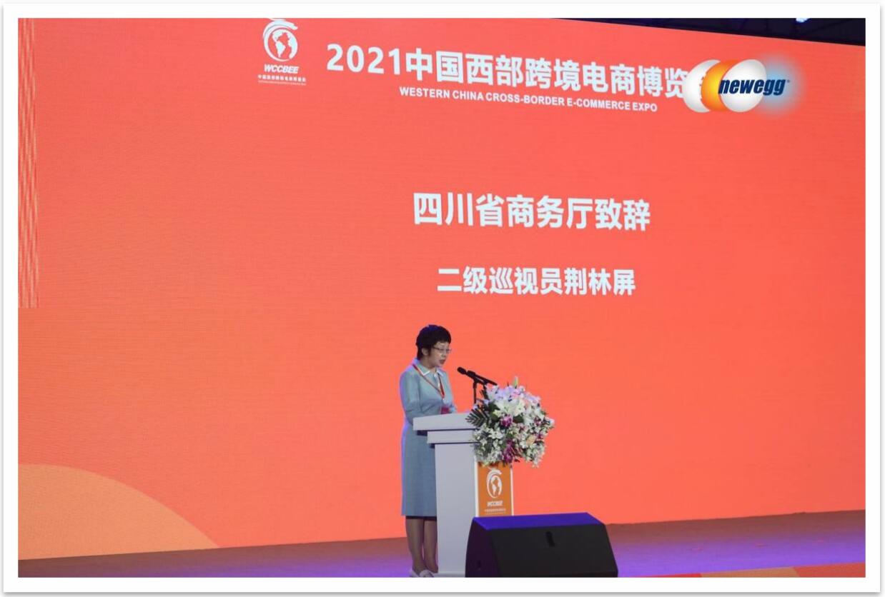 新蛋跨境电商卖什么产品,新蛋newegg跨境电商平台