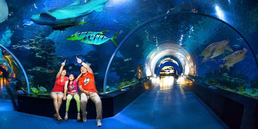 塘沽周边自驾游攻略,塘沽金街旅游攻略