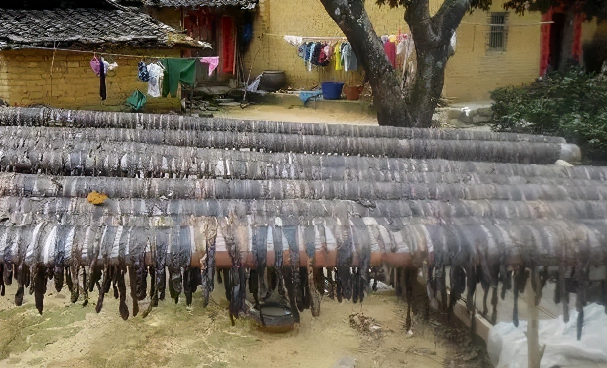 电击捕蚯蚓方法,电蚯蚓对土壤的危害