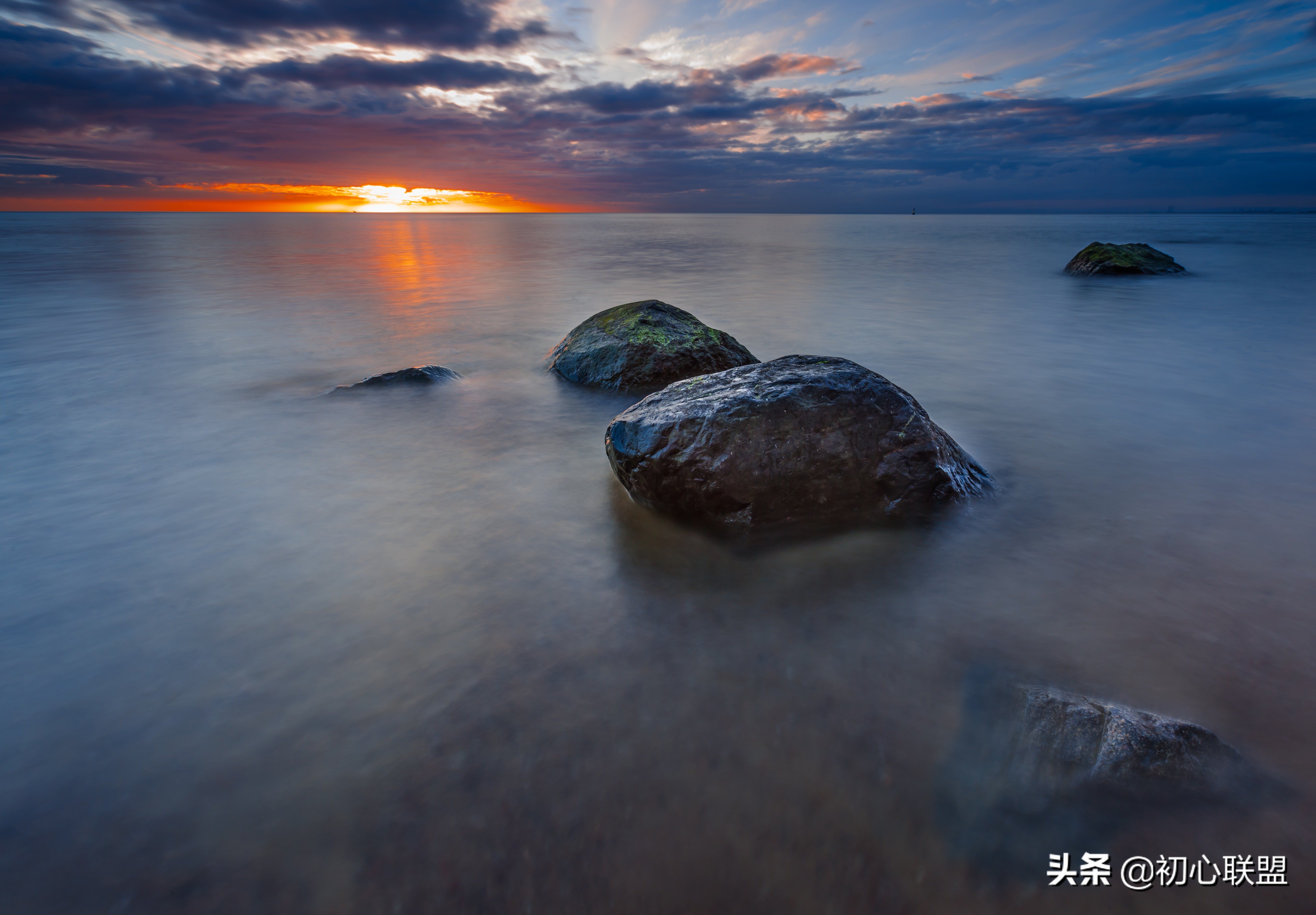 南农初试成绩,南农2016复试名单