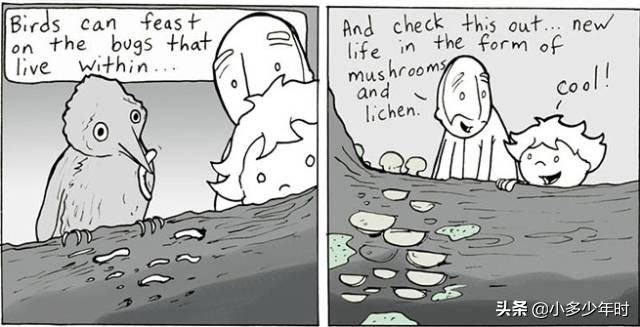 疫情期间的超级奶爸,关于超级奶爸的漫画