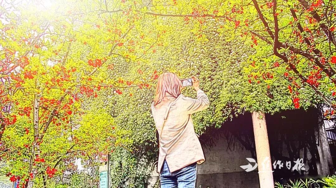 焦作市第十一中全国排名,焦作市第十一中学