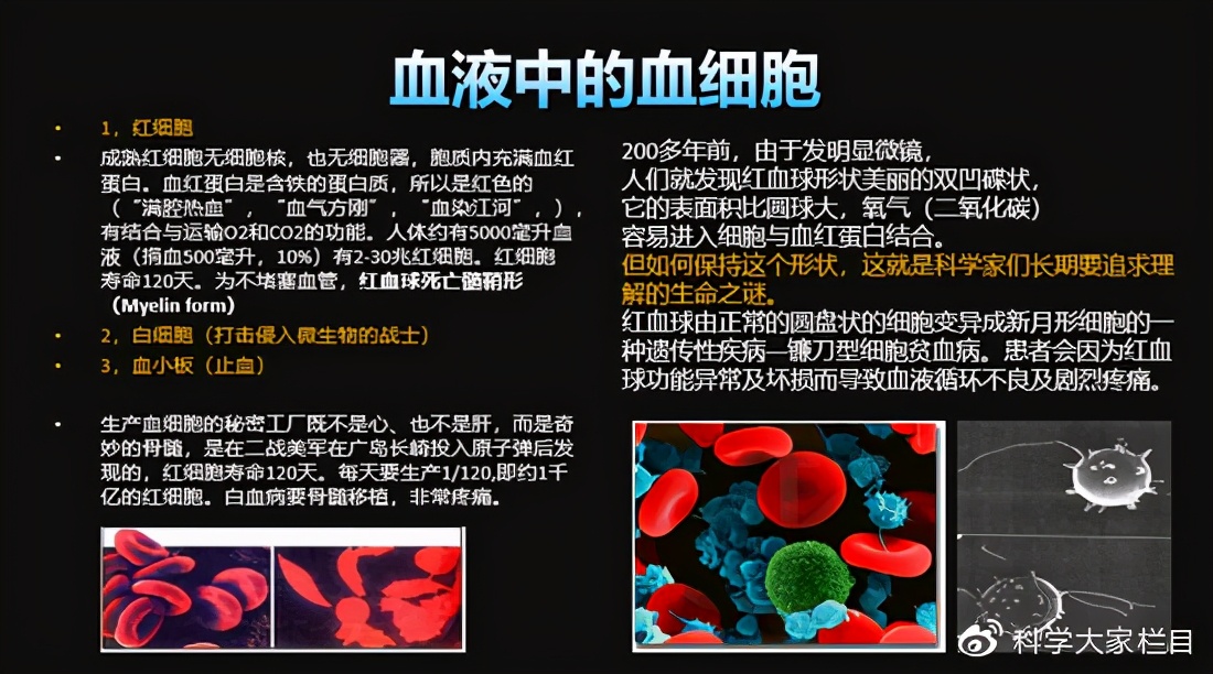 红细胞是双凹圆盘状图片,红细胞的形态是双凹