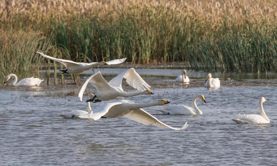 又一条最美自驾线路,又一条绝美进藏自驾公路