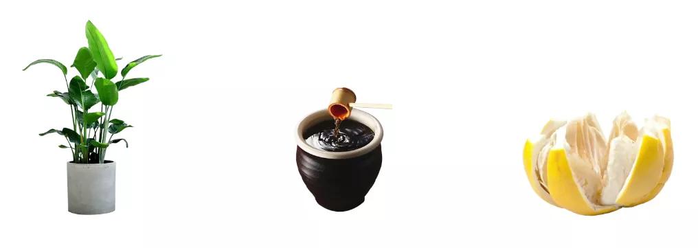 家庭装修最毒的不是甲醛是什么,最正确的开窗除甲醛方法