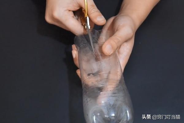 灭老鼠有妙招不用白酒,灭老鼠最快最有效方法