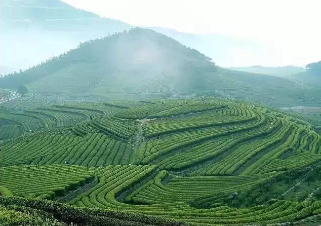 4A英德奇洞温泉小镇，轰趴汤山别院4房温泉别墅！建议收藏