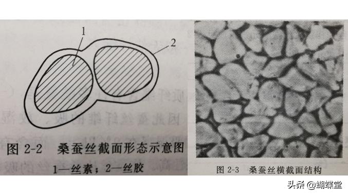 蝴蝶堂面料,蝴蝶堂