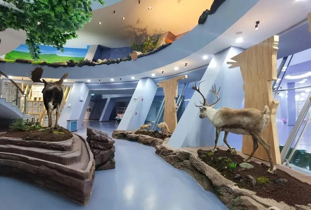 安利游玩攻略,安利北海