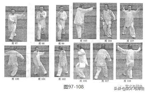 纯阳拳龙心掌视频,纯阳八步龙心掌