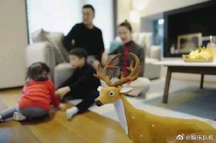 总裁夫人紫色绣球花透露花语，张大奕什么都能打版，唯独香水不行