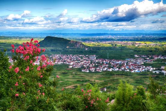 橘子红了广德,桔子红了椒江