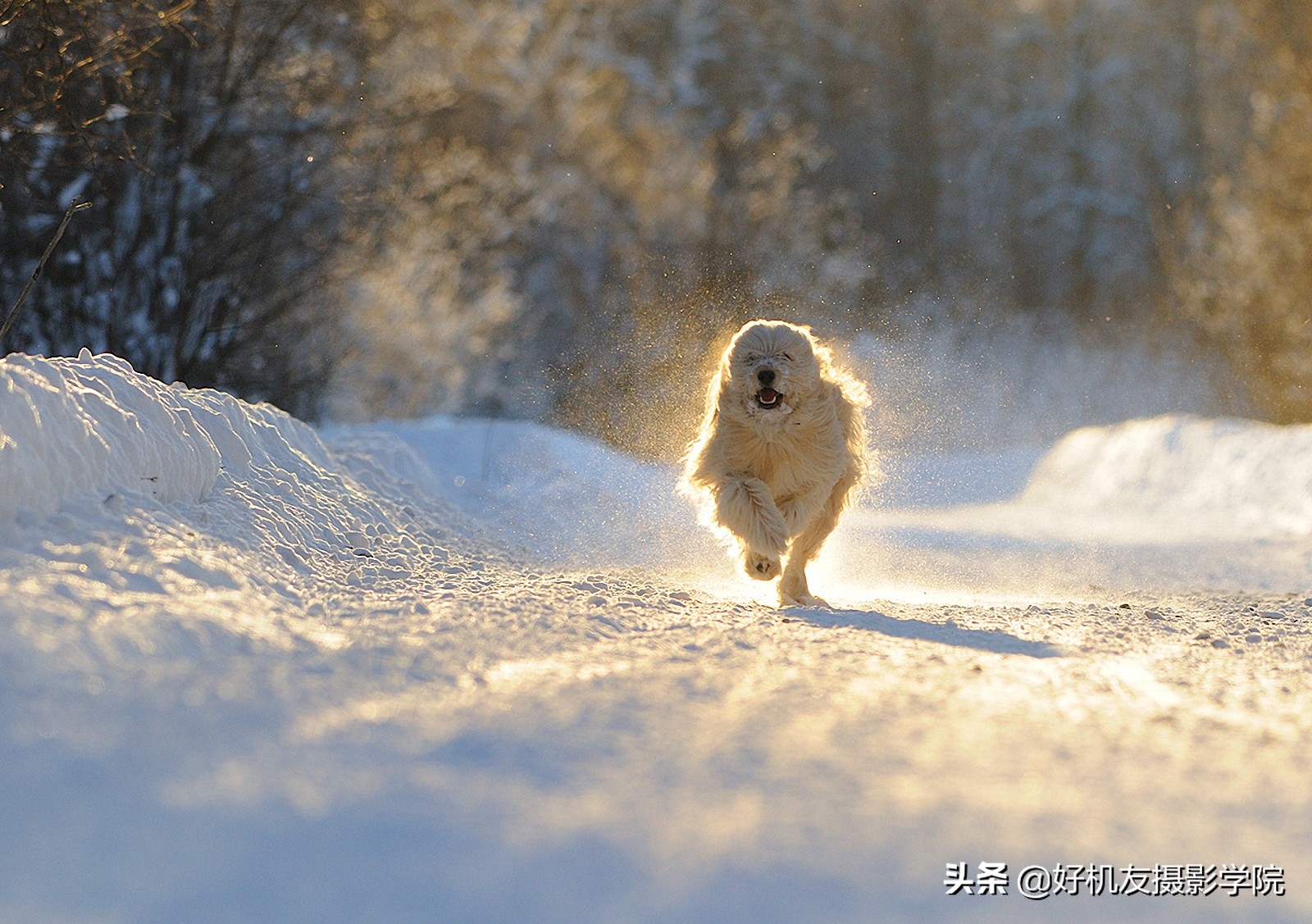 儿童摄影师摄影技巧怎么快速提高,街头摄影师的街头摄影技巧