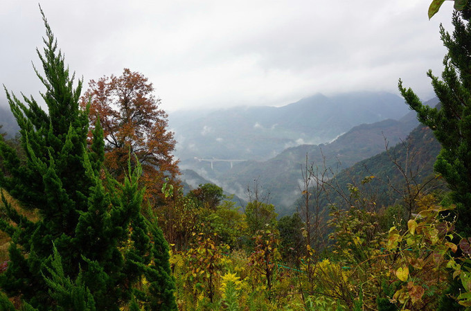 奉化溪口雪窦山妙高台视频,游奉化溪口徐凫岩攻略