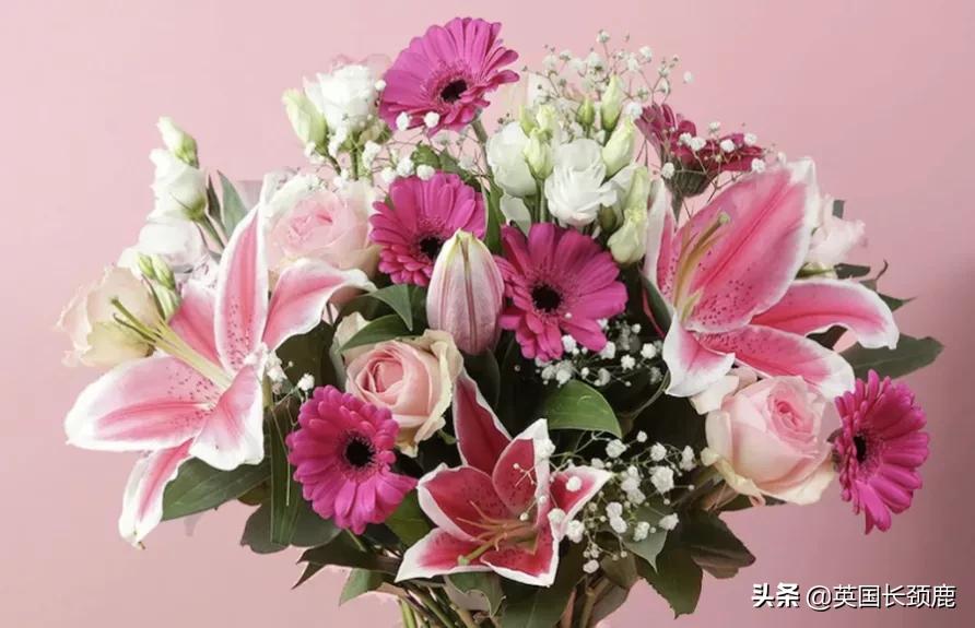 情人节来了怎么少的了fafa?英国鲜花速递服务大盘点:浪漫满分