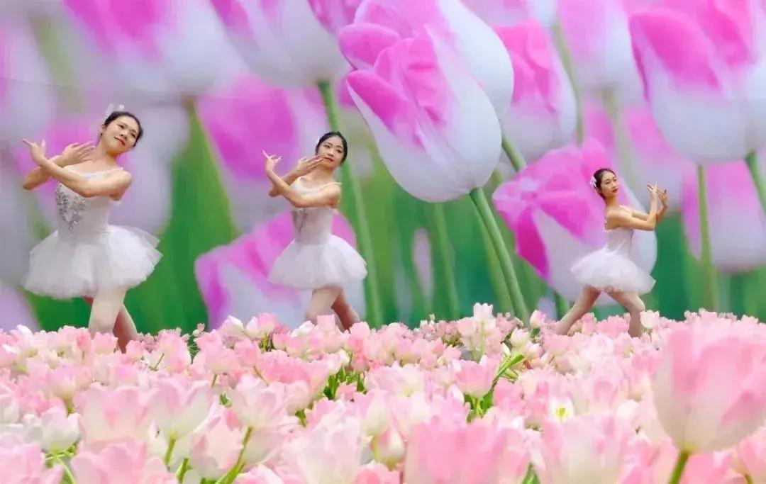 春节游玩攻略正式上线,春节嗨玩攻略