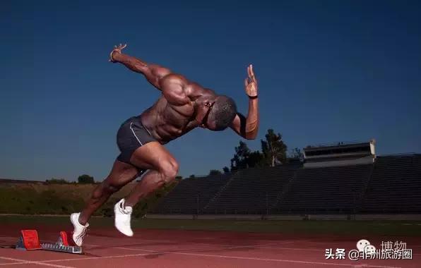 黑人跑得快是因为人种优势嘛？