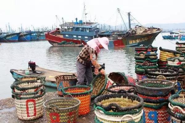 厦门新晋网红打卡地免费,厦门网红打卡点海湾公园