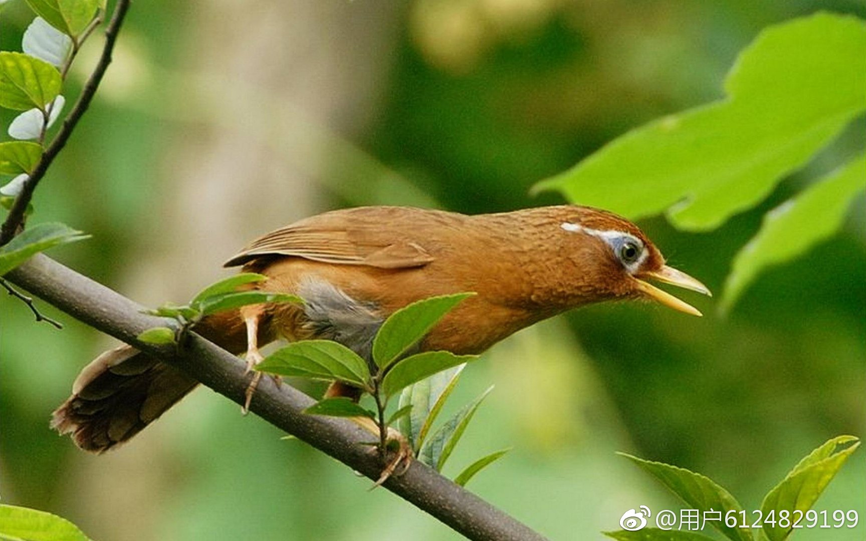汉字中读音相同意思不一样的字,神奇的汉字长读音