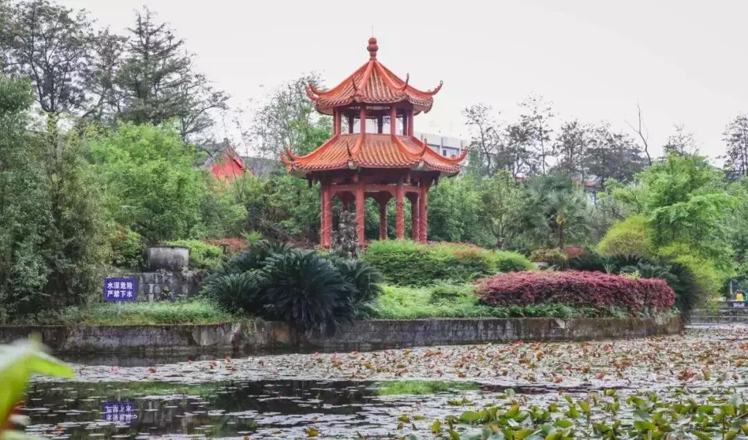 全国十大奇葩高校,奇葩高校盘点