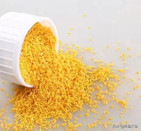 养观赏鱼放盐时为什么会死,观赏鱼外伤用黄粉行吗